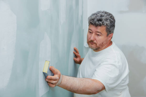Best Black Mold Removal  in Glenwood, AR