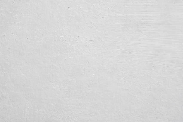 Reliable Glenwood, AR Mold Removal Solutions