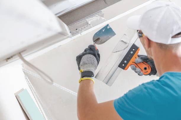 Mold Odor Removal Services in Glenwood, AR